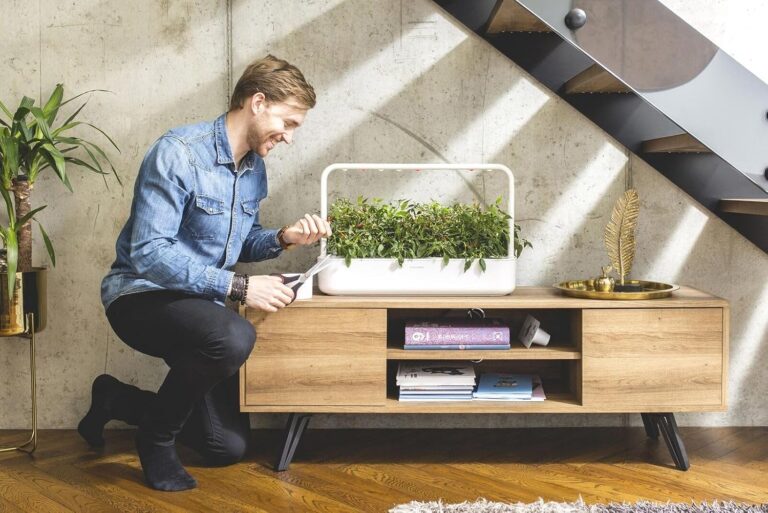 Click and Grow Big Steak Seasoning Kit Review